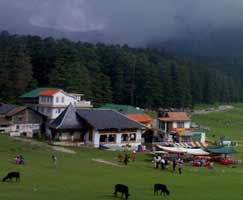 Dhanaulti Honeymoon Tour Package