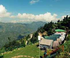 Tour Package In Dhanaulti