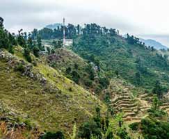 Tour Package Dhanaulti