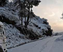 Dhanaulti Honeymoon