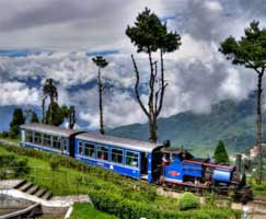 Holiday Package Dhanaulti