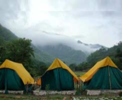 Dhanaulti Holiday Package