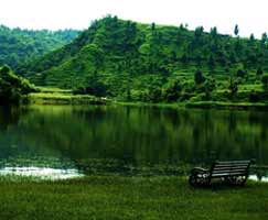 Dhanaulti Tour Package