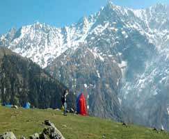 Dhanaulti Travel Package