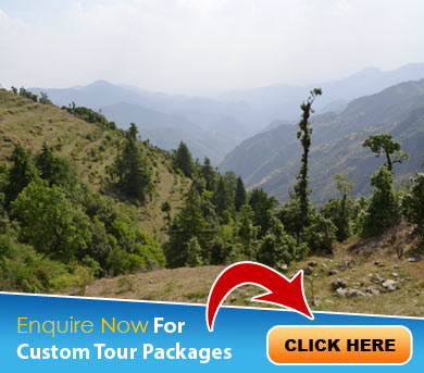 Dhanaulti Tour Packages