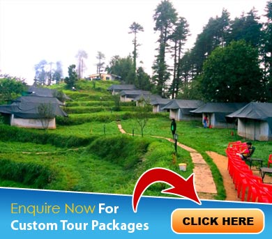 Dhanaulti Tour Packages